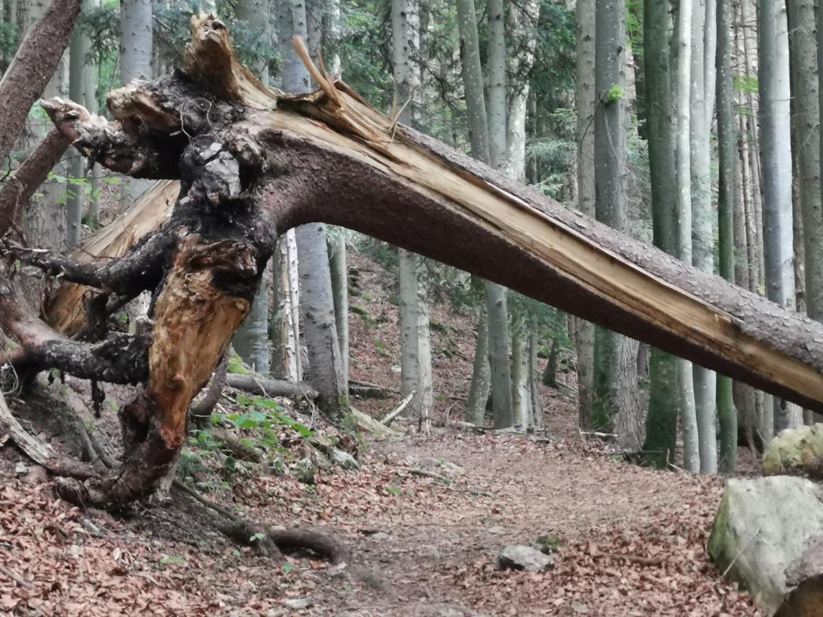 Ferienlandhaus Alpinum Lenggries Esterno foto